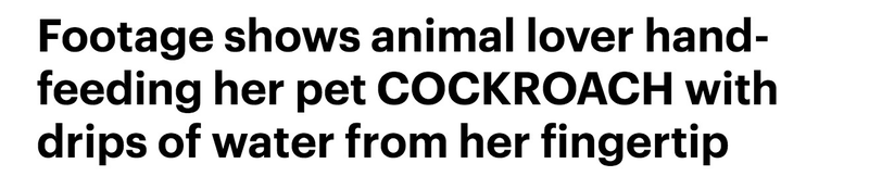 Via Daily Mail